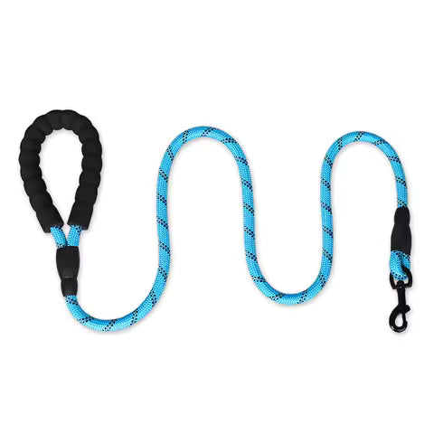 Reflective Dog Leash - Heavy-Duty Nylon